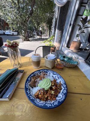   at Mandragora Vegan in Mexico City