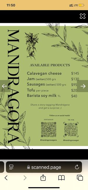 Menu  at Mandragora Vegan in Mexico City