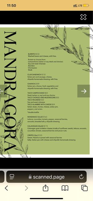 English menu  at Mandragora Vegan in Mexico City