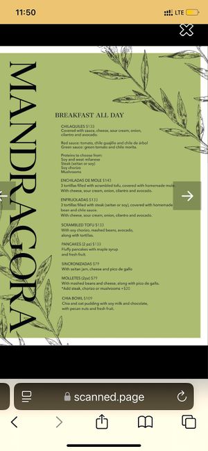 English menu  at Mandragora Vegan in Mexico City