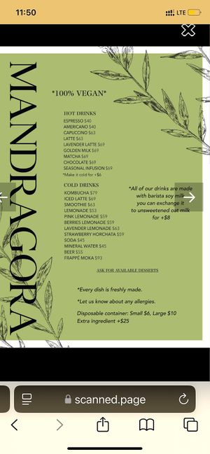 English menu  at Mandragora Vegan in Mexico City