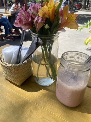   at Mandragora Vegan in Mexico City