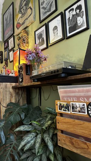   at Mandragora Vegan in Mexico City