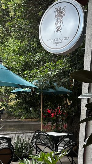 Outdoor seating  at Mandragora Vegan in Mexico City