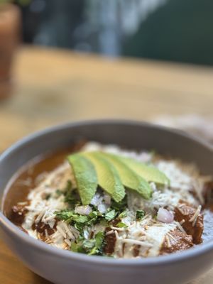 Enchiladas   at Mandragora Vegan in Mexico City