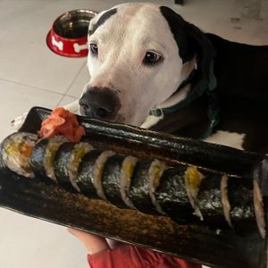 Build your own sushi and decide on all the fillings!  at Salmoon in Miami