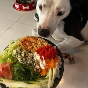 Poke bowl with two types of spicy tuna and salmon!  at Salmoon in Miami