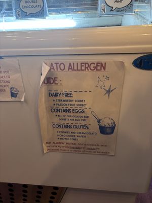 Gelato allergy guide  at The Mason Jar Coffee & Gelato in Helen