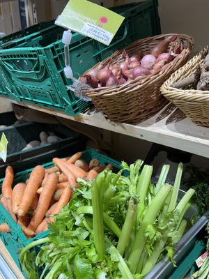   at greenroot in Innsbruck