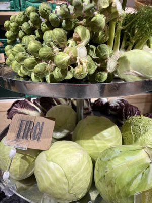   at greenroot in Innsbruck