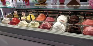 All vegan at I Scream Gelato in Miami Beach