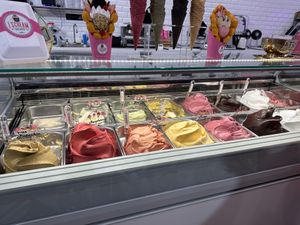 There were 8 vegan flavors when we visited.  at I Scream Gelato in Miami Beach