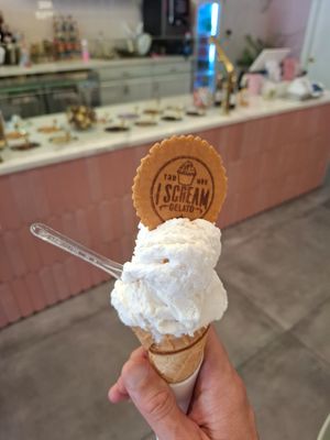 Vegan ice-cream, cone and biscuit at I Scream Gelato in Miami Beach