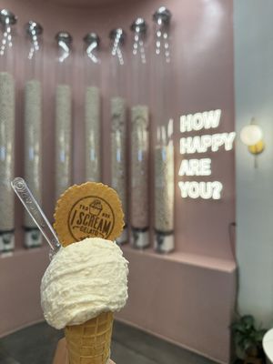Coconut on a cone  at I Scream Gelato in Miami Beach