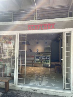   at Olaflora in Guadalajara