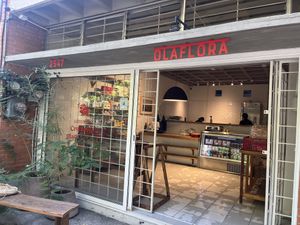   at Olaflora in Guadalajara