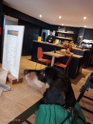 Dogs like it too at E3 Vegan in East London