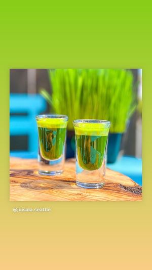 Wheat-GRASS!! at Juisala in Seattle