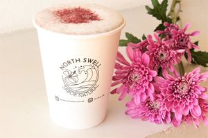  at Northswell Sabor Natural in Sayulita