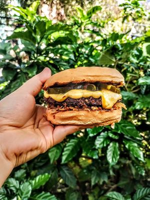  at Amanita in Recife