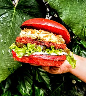  at Amanita in Recife