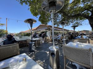   at Wildseed  in Palo Alto