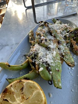   at Wildseed  in Palo Alto