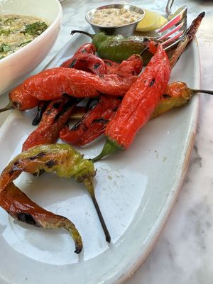   at Wildseed  in Palo Alto