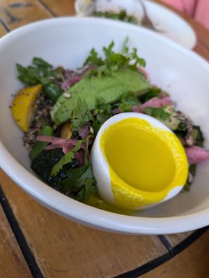 Harvest bowl at Wildseed  in Palo Alto