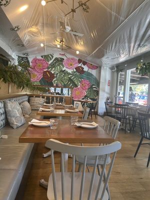   at Wildseed  in Palo Alto