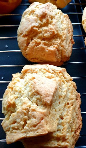 plain at Yong Tokki in Seoul