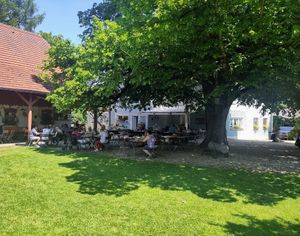 Perfect beer garden under a huge lime tree at Landgasthof Löwen in Aitrach