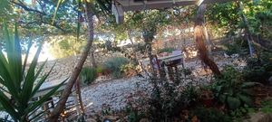  at O Linós in Paphos