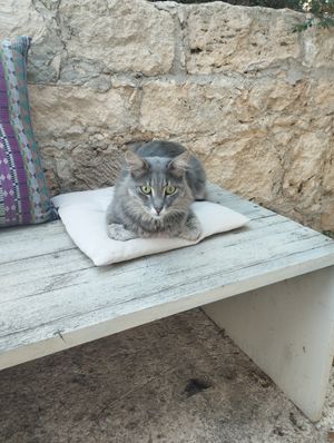  at O Linós in Paphos