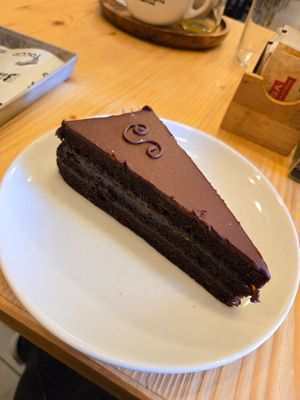 Sacher at Forno Brisa in Bologna
