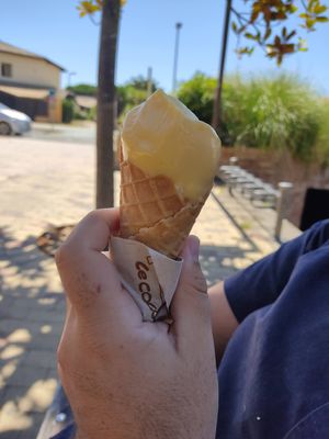  at COCONUTS in Vieux-boucau-les-bains