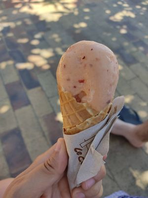  at COCONUTS in Vieux-boucau-les-bains