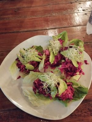  at Casa Antoliana in Palenque