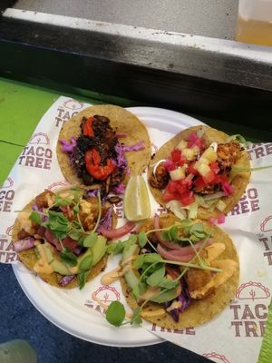 Adobo (top left), Al pastor (top right) and Baja (bottom two) at The Taco Tree - Food Stand in Reading