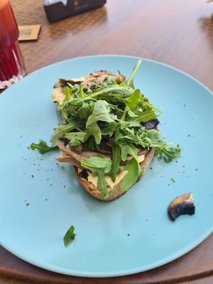  at Toulouse in Cluj-napoca