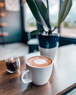   at Stock Brew in Daytona Beach