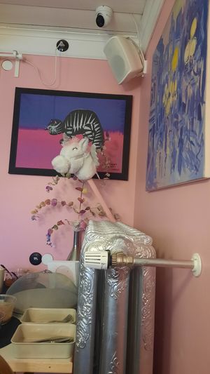 Interior at Saeta Húsið in Reykjavik