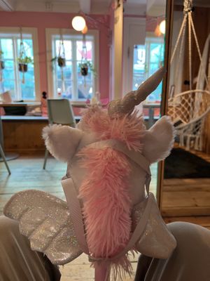 They have a unicorn to sit with while you’re waiting lol  at Saeta Húsið in Reykjavik