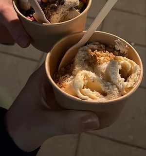   at Saeta Húsið in Reykjavik