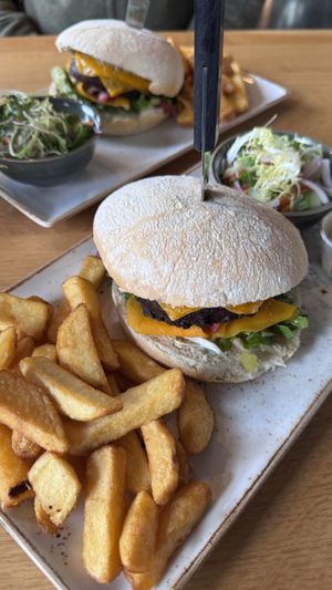   at Stoom in Den Helder