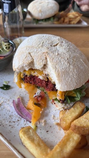   at Stoom in Den Helder