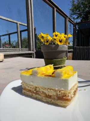 Beetje te zoet voor mijn smaak maar super dat er vegan gebak is  at Koaikers Huus in Buren