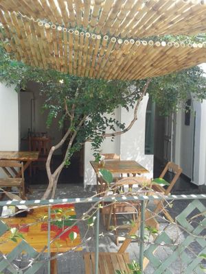 New reception! at Maha Mantra in Sao Paulo