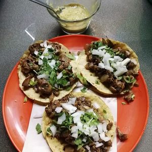  at Verde Luna in Mexico City