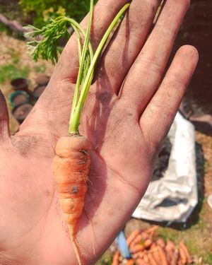  at Verde Luna in Mexico City